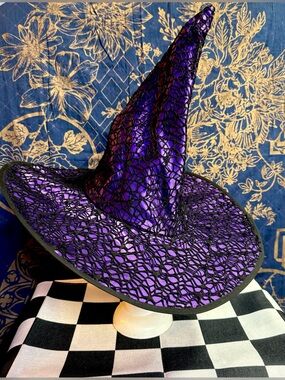 Halloween Witch Hat Costume Hat with Spider Webs 💜🕸️